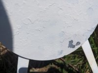 PXL_20230504_172101309.MP.jpg