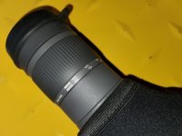 IMG_0422.jpeg