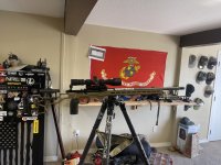 IMG_2345.jpeg