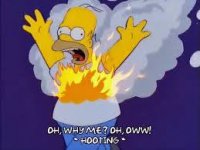 homer on fire.jpg