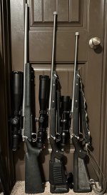 IMG_9759.jpeg