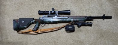 M1A DMR.jpg