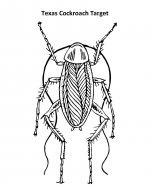 Texas Cockroach Target.jpg
