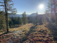 IMG_1019.jpeg