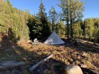 IMG_1020.jpeg