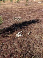 IMG_1023.jpeg