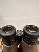 IMG_5495.jpeg