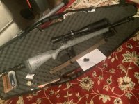 IMG_3704.jpeg