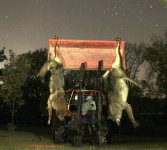 IMG_1081.jpeg