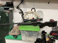 IMG_6677.jpeg
