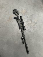 IMG_0416.jpeg