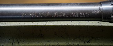 IMG_0293.jpeg