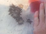 20140731_200713.jpg