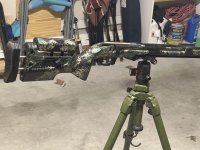 IMG_6427.jpeg