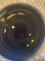 IMG_6512.jpeg