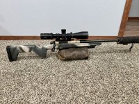 IMG_3408.jpeg