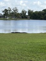 IMG_2649.jpeg