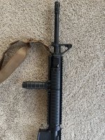 IMG_6899.jpeg