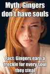 Gingers steal souls.jpg
