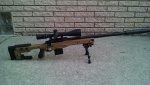 AO RIFLE.jpg
