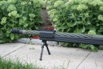 Kellman cheytac 006.JPG