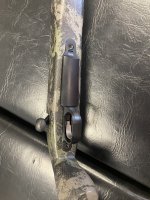 IMG_3947.jpeg