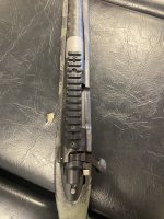IMG_3950.jpeg