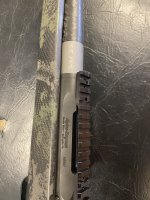 IMG_3953.jpeg