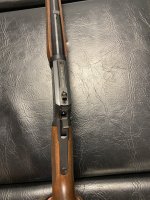 IMG_3988.jpeg