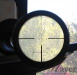 ZF95-6x42b (1).jpg
