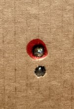 IMG_2369.jpeg