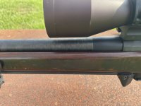 IMG_5318.jpeg