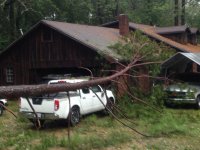 IMG_6087 Tree on Truck 2.JPG