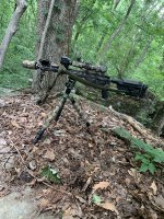 Black Gat.jpg