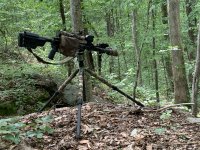 Black Gat 2.jpg