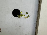 thumbnail_IMG_1489.jpg