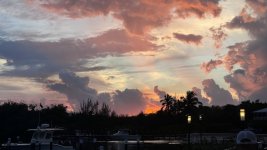 IMG_5206.jpeg