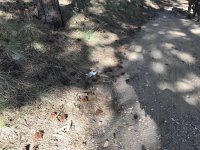 IMG_0323.jpeg