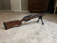 IMG_8032.jpeg
