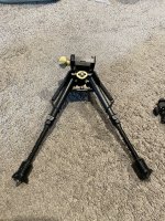 IMG_6613.jpeg