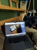 IMG_1086.jpeg