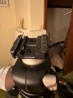 IMG_0643.jpeg