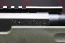 IMG_1828.jpeg