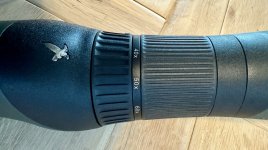 IMG_5003.jpeg
