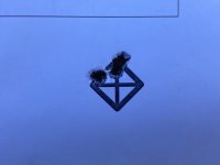IMG_3920.jpeg