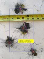 IMG_7192.jpeg