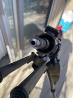 IMG_4195.jpeg