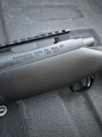 IMG_7988.jpeg
