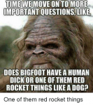 time-we-moveon-to-more-omportantquestions-like-does-bigfoot-have-22279058.png