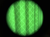 IMG_9592.jpeg